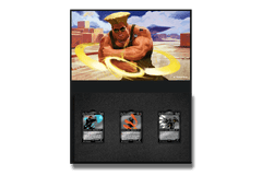 Pinfinity: Secret Lair x Street Fighter AR Pin Set