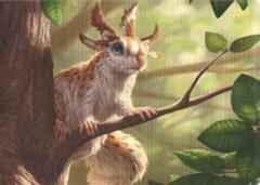 Art Series (71/81) – Squirrel Sovereign