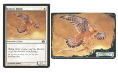Suntail Hawk Oversized Box Topper