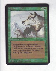 Aspect of Wolf