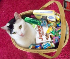 Candy Snack
