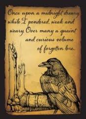 Raven Art Sleeves