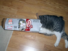 Soda