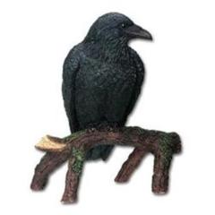 Summit Collection Raven