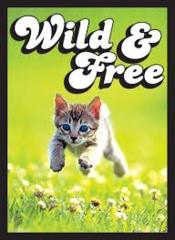 Magic Sleeves Kitten Wild & Free