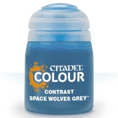 PAINT SPACE WOLVES GREY