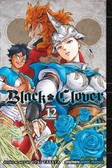 BLACK CLOVER (EN) T.12