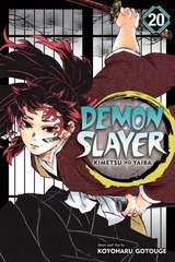 DEMON SLAYER: KIMETSU NO YAIBA (EN) T.20