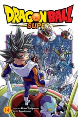 DRAGON BALL SUPER (EN) T.14