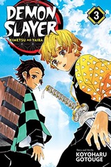 DEMON SLAYER: KIMETSU NO YAIBA (EN) T.03