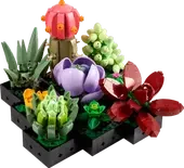 Icons Succulents