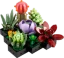 Icons Succulents