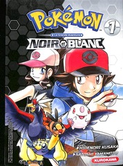 POKEMON NOIR BLANC V1