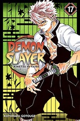 DEMON SLAYER: KIMETSU NO YAIBA (EN) T.17