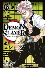 DEMON SLAYER T.17