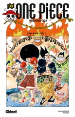 ONE PIECE V33