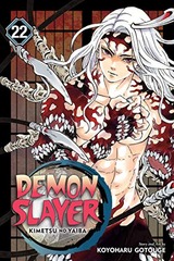 DEMON SLAYER: KIMETSU NO YAIBA (EN) T.22