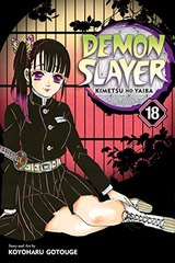 DEMON SLAYER: KIMETSU NO YAIBA (EN) T.18