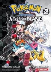 POKEMON NOIR BLANC V2