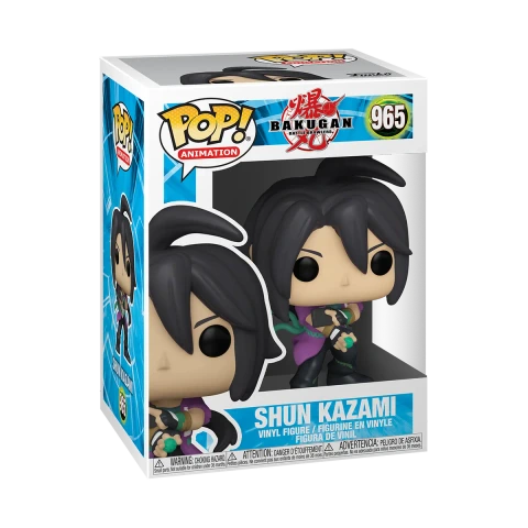 SHUN KAZAMI