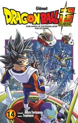 DRAGON BALL SUPER T.14