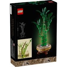BOTANICAL LUCKY BAMBOO