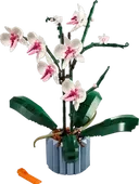 Icons Orchid