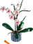 Icons Orchid