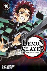 Demon Slayer  T.10