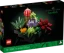 Icons Succulents