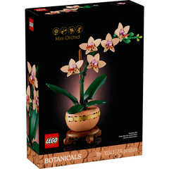 BOTANICAL MINI ORCHID