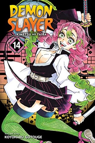 DEMON SLAYER: KIMETSU NO YAIBA (EN) T.14