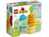 DUPLO Growing Carrot