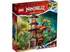 Ninjago Temple of the Dragon Energy Cores