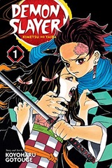 DEMON SLAYER: KIMETSU NO YAIBA (EN) T.01