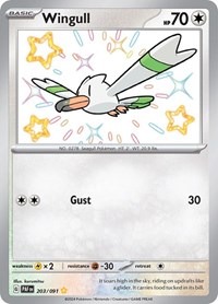 Wingull - 203/091 - Paldean Fates