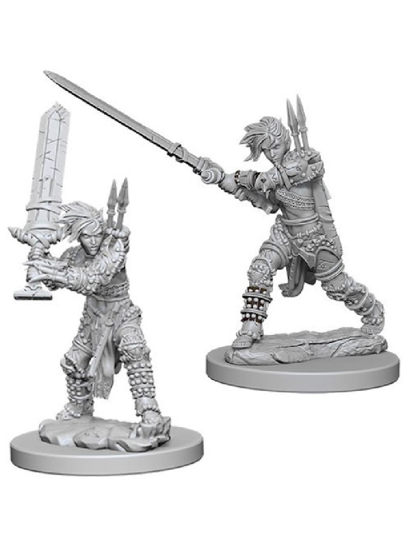 WizKids: Female Human Barbarian