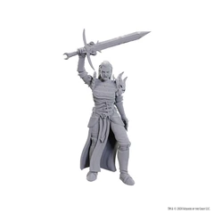 DUNGEONS AND DRAGONS NOLZUR'S MARVELOUS MINIATURES: W25 BLACKGUARD