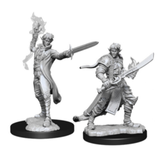 Pathfinder Battles Deep Cuts Unpainted Minis: W11 Male Elf Magus