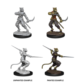 D&D MALE TABAXI ROGUE (WV7)