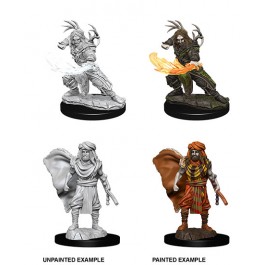 D&D UPM MALE HUMAN DRUID (WV6)