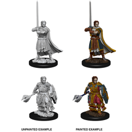 D&D MALE HUMAN CLERIC UPM (WV8)