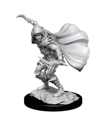 PATHFINDER: DEEPCUTS UNPAINTED MINIATURES: W14 FEMALE HUMAN ROGUE