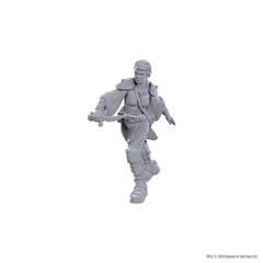 DUNGEONS AND DRAGONS NOLZUR'S MARVELOUS MINIATURES: W25 SWASHBUCKLER