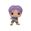 Future Trunks 702 POP