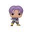 Future Trunks 702 POP