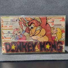 1982 Vintage Nintendo Game & Watch - Donkey Kong Pocket Size NA Version