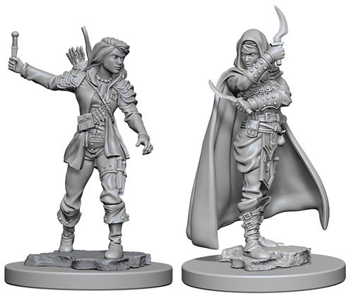 Pathfinder Deep Cuts Human Female Rogue