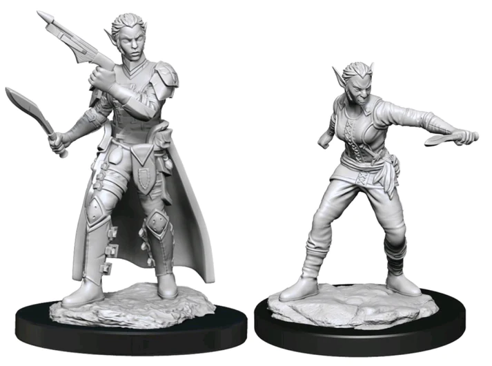 Nolzurs Marvelous Miniatures - Shifter Rogue