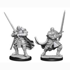 D&D NOLZUR'S MARVELOUS UNPAINTED MINIATURES - HALF-ORC PALADIN MALE